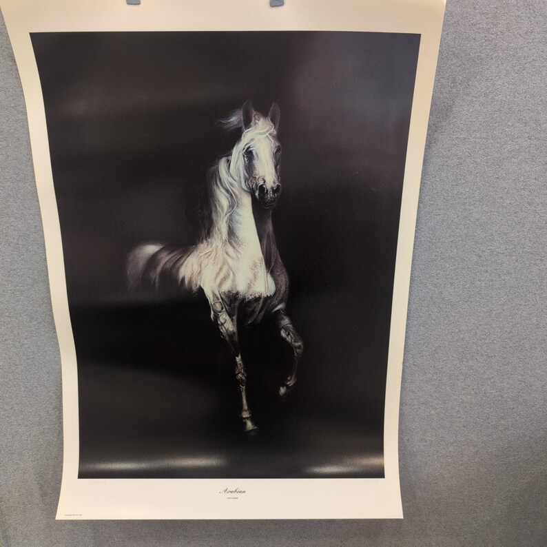 Sonia Torres Limited Edition, Numbered, Signed Arabian Left Horse Artist's Print image 1