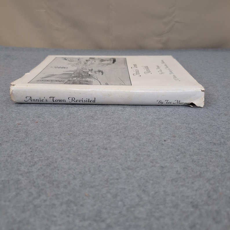 Annie's Town Revisited Signed Tee Morgan Anniston Alabama Picture History Book image 7