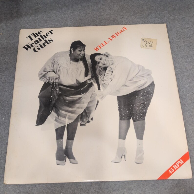 The Weather Girls Well-A-Wiggy 12" Vinyl Singel 45 RPM Columbia 44-05245 1985 bild 1