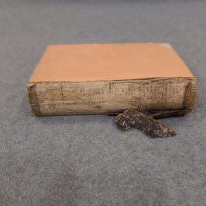 Den presbyterianska psalmboken 1874 Philadelphias presbyterianska publikationsnämnds bok bild 5