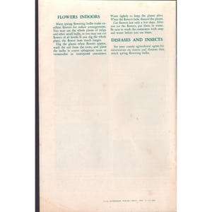 Biuletyny USDA Home and Garden Vtg Zestaw 2 cebulek kwitnących na wiosnę i lato zdjęcie 3