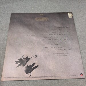 Phoebe Snow Something Real Vinyl LP 1989 Promo DMM Audiophile 60852-1 VG Bild 3