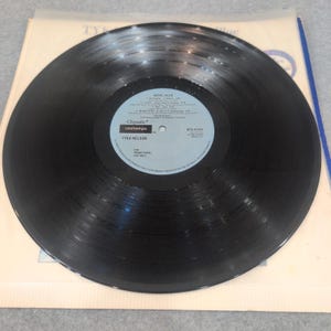 Tyka Nelson Royal Blue Vinyl LP 1988 Chrysalis BFV-41643 Promo Gold Stamp VG+ image 4