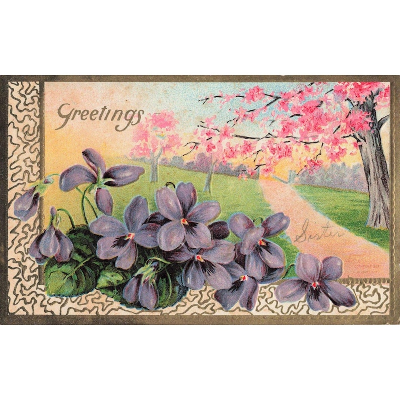Carte postale vintage de 1907 à motif floral en relief : « Sœur Violettes Fleurs de cerisier » image 1