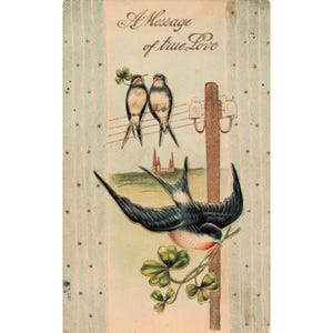 1909 Sheboygan Falls WI Postcard Swallows Clover Message True Love Embossed image 1