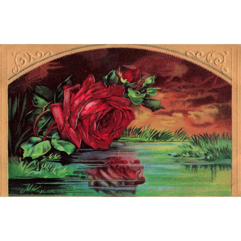 Antique 1910 Red Rose Reflection Postcard Embossed Gold Border 1c Franklin Stamp image 1