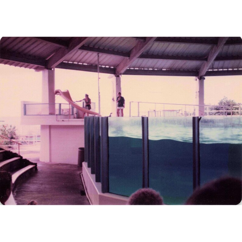 Vintage 1970s Sea Life Park Hawaii Dolphin Show Tall Ship Photo Lot of 17 image 5