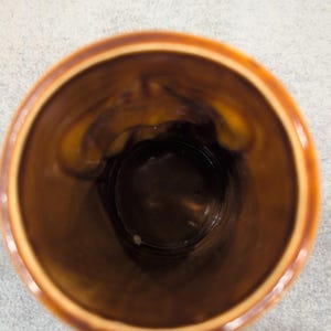 Vintage Orchids of Hawaii Tiki Mug R91 Hawaiian MCM Brown Glaze image 5