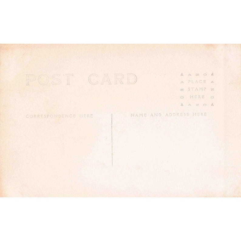 Antyczna pocztówka AZO RPPC z wizerunkiem mężczyzny i kobiety z kotami na ganku, 1904–1918 zdjęcie 2