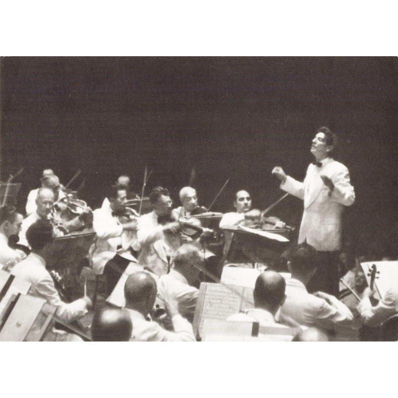 William H Tague, juego de 15 postales, Berkshires, Tanglewood, Leonard Bernstein, Naturaleza imagen 7