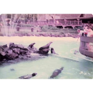 Vintage 1970s Sea Life Park Hawaii Dolphin Show Tall Ship Photo Lot of 17 image 4