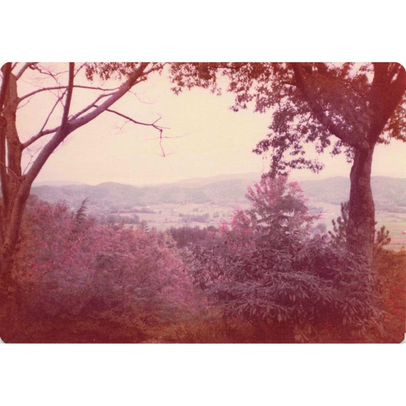 Vintage 1970s Great Smoky Mountains Camping Trip Lot of 9 Photos 3.5x5 image 8