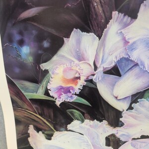 Sonia Torres Butterfly White Orchids Dendrobium Artist Print Signed Limited Ed image 2