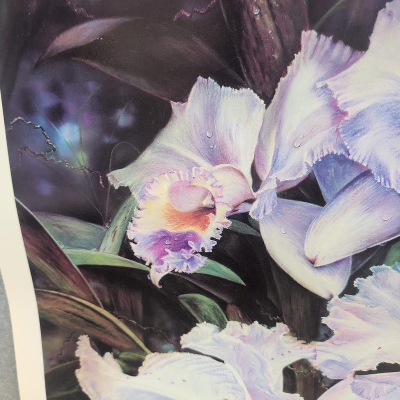 Sonia Torres Butterfly White Orchids Dendrobium Artist Print Signed Limited Ed image 2