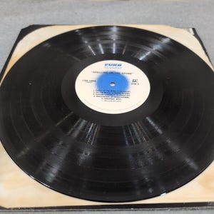 Spelling On The Stone LPレコードアルバム Curb Records CRB-10608 1988 カントリーミュージック 画像 5