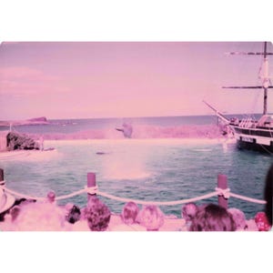 Vintage 1970s Sea Life Park Hawaii Dolphin Show Tall Ship Photo Lot of 17 image 15