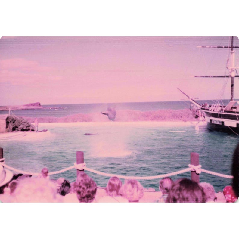 Vintage 1970s Sea Life Park Hawaii Dolphin Show Tall Ship Photo Lot of 17 image 15