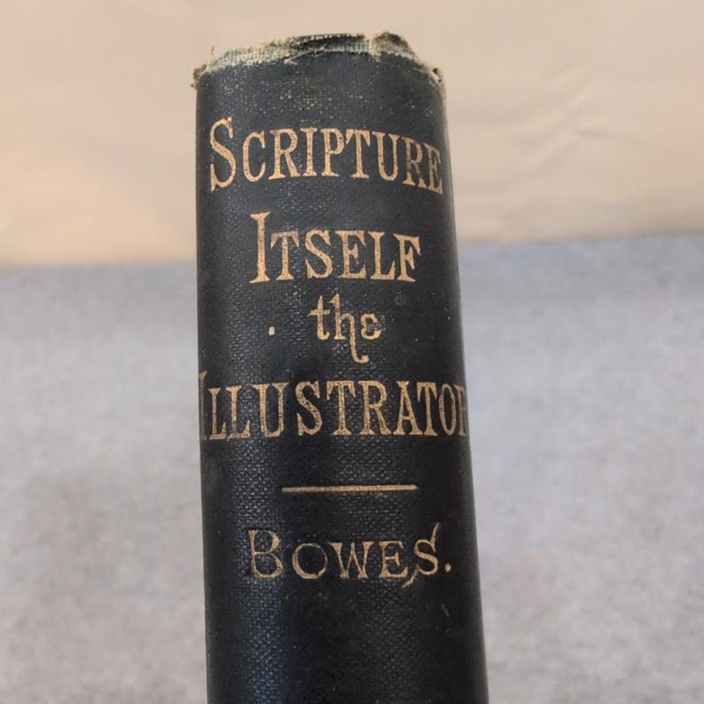 Scripture Itself the Illustrator Rev G S Bowes Fleming H Revell Antique Book image 1
