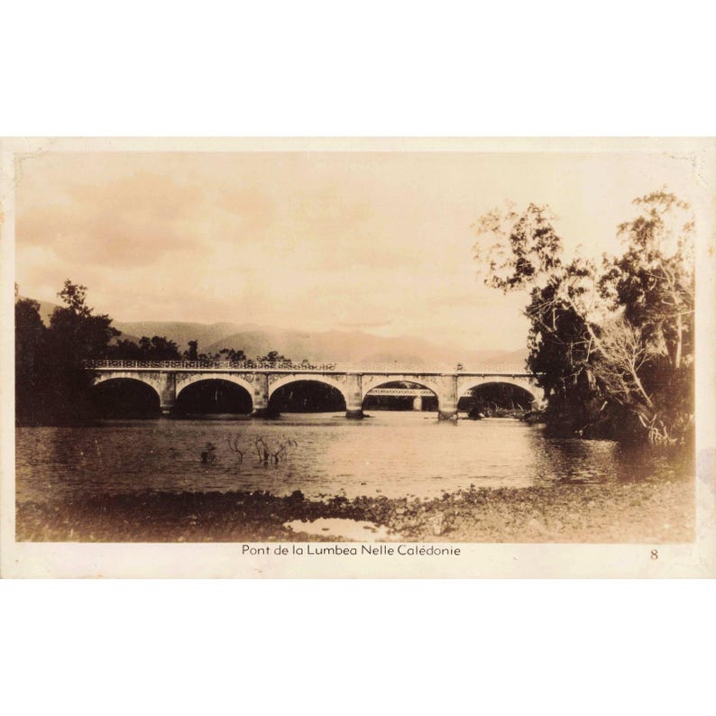 ニューカレドニア産1940年代ヴィンテージRPPCポストカード20枚セット - 写真をご覧ください！ 画像 14
