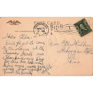 Cartolina vintage del Ringraziamento del 1908, RPPC, con tacchino e zucca in rilievo, Sheboygan, Wisconsin. immagine 2