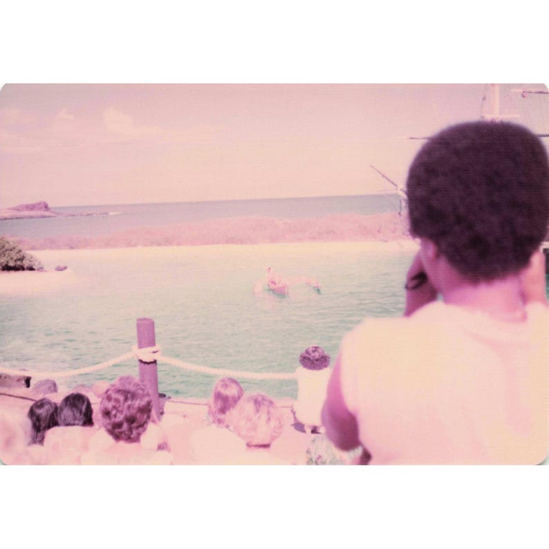 Vintage 1970s Sea Life Park Hawaii Dolphin Show Tall Ship Photo Lot of 17 image 8