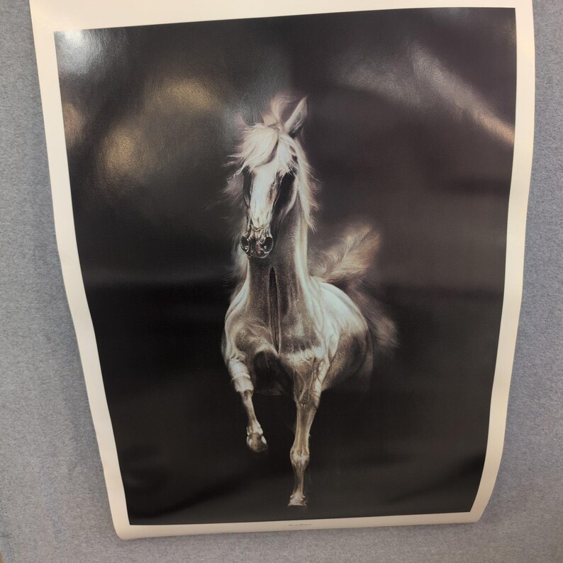 Sonia Torres Arabian Right Horse Artist's Print Torres Signed Numbered Limit Ed image 1