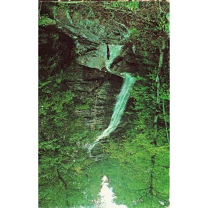 Vintage-Postkarte von Montreat, NC, Dogwood Gaither Chapel, Wasserfall, 1975, Color King Bild 1