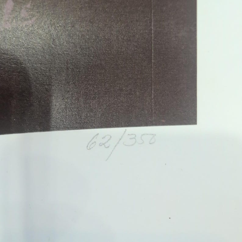 Sonia Torres Limited Edition, Numbered, Signed White Tiger Artist's Print image 6