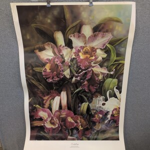 Sonia Torres Limit Ed Artist Print Ladybug Magenta Orchids Brassolaeliocattleyas image 1