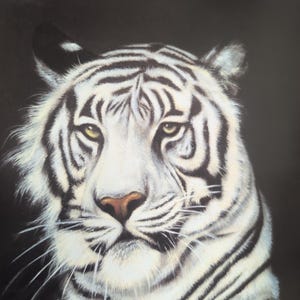Sonia Torres Limited Edition, Numbered, Signed White Tiger Artist's Print image 2