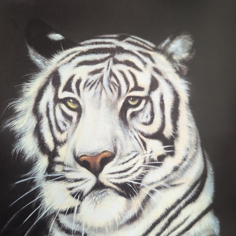 Sonia Torres Limited Edition, Numbered, Signed White Tiger Artist's Print image 2