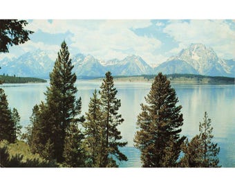 Grand Teton National Park Jackson Lake Wyoming Chrome Postcard Crandall Studio 2