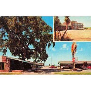 Vintage The Carolinian Motel Restaurant Georgetown SC Quality Courts Postcard image 1