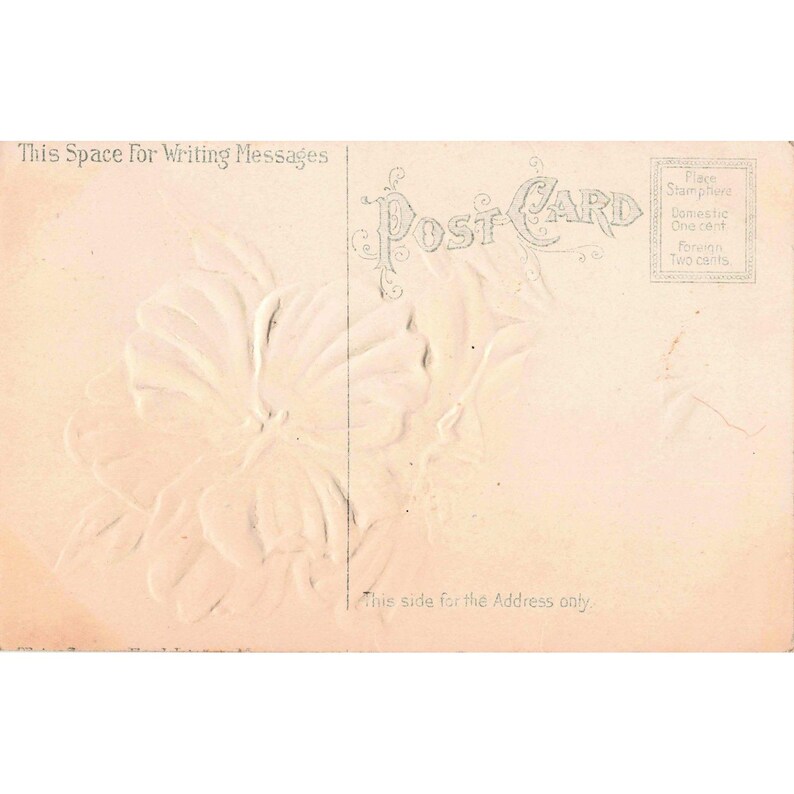 Vintage Happy Birthday Postcard Embossed Pink Pansy Flowers Divided Back Antique image 2