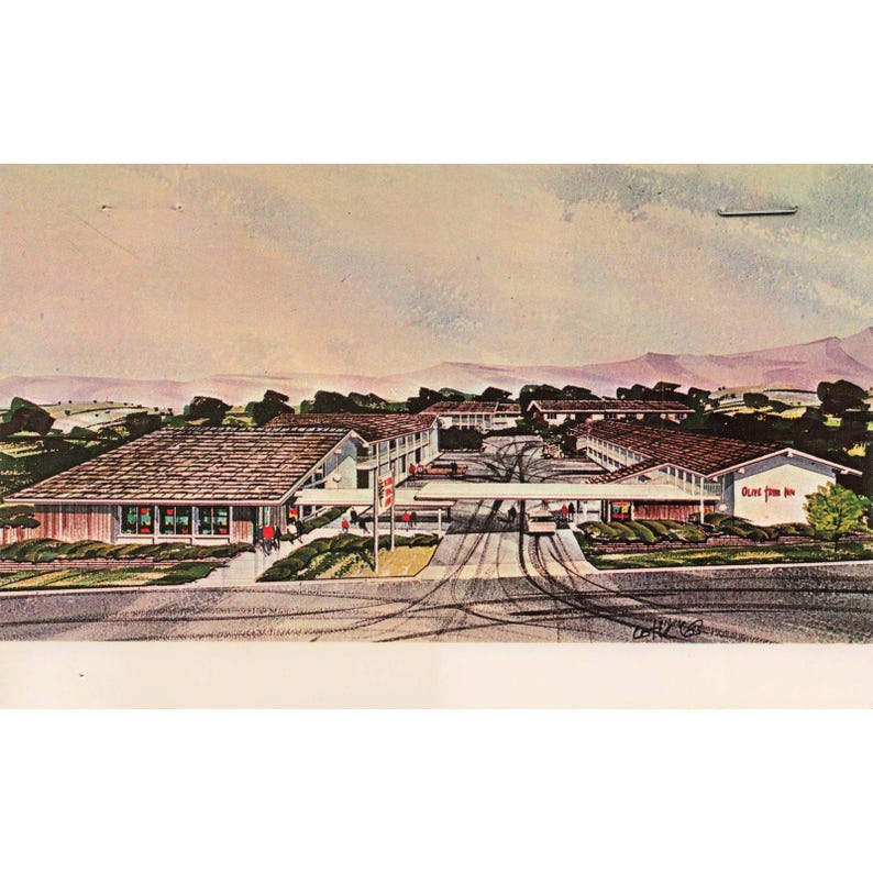 Olive Tree Inn San Luis Obispo CA Chrome Postcard Motel Roadside Americana Unpos image 1