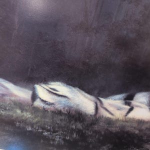 Sonia Torres Limited Edition, Numbered, Signed White Tiger Artist's Print image 4