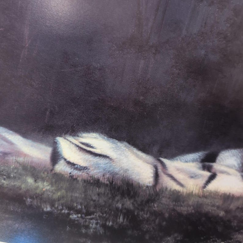 Sonia Torres Limited Edition, Numbered, Signed White Tiger Artist's Print image 4