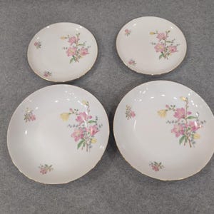 Eschenbach Bavaria Baronet China Floral Plates and Bowls Set of 4 P1 192 image 1