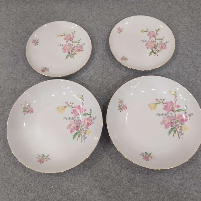 Eschenbach Bavaria Baronet China Floral Plates and Bowls Set of 4 P1 192 image 1