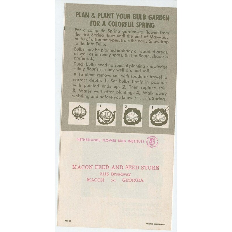 Vintage Macon Georgia Feed & Seed Store Bulb Planting Pamphlet Dutch Tulip Ad image 2