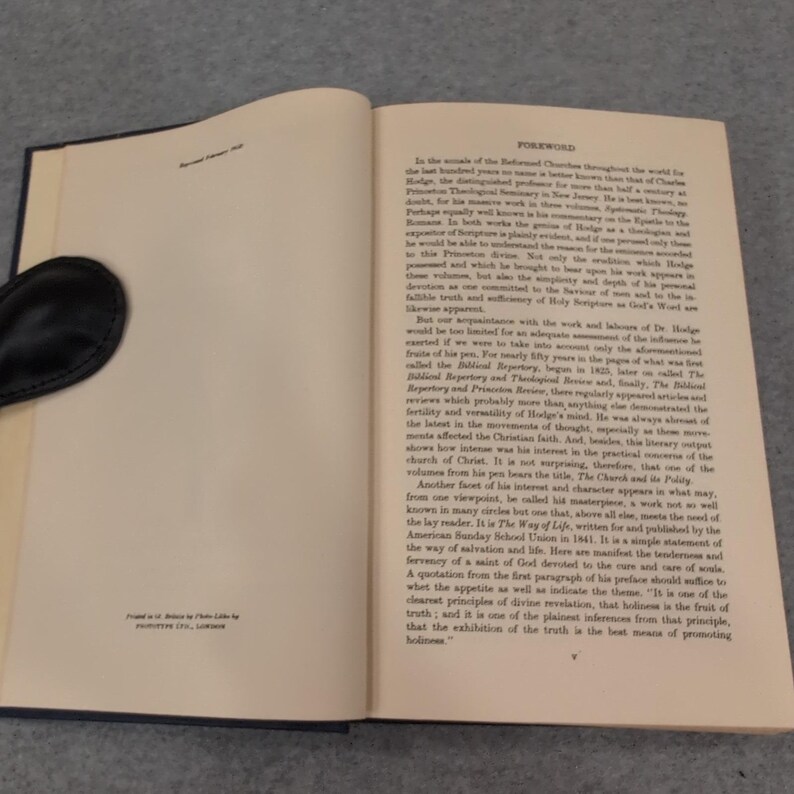 Sermões de Princeton, Charles Hodge, Banner of Truth, 1958, livro de teologia em capa dura. imagem 5