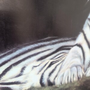 Sonia Torres Limited Edition, Numbered, Signed White Tiger Artist's Print image 3
