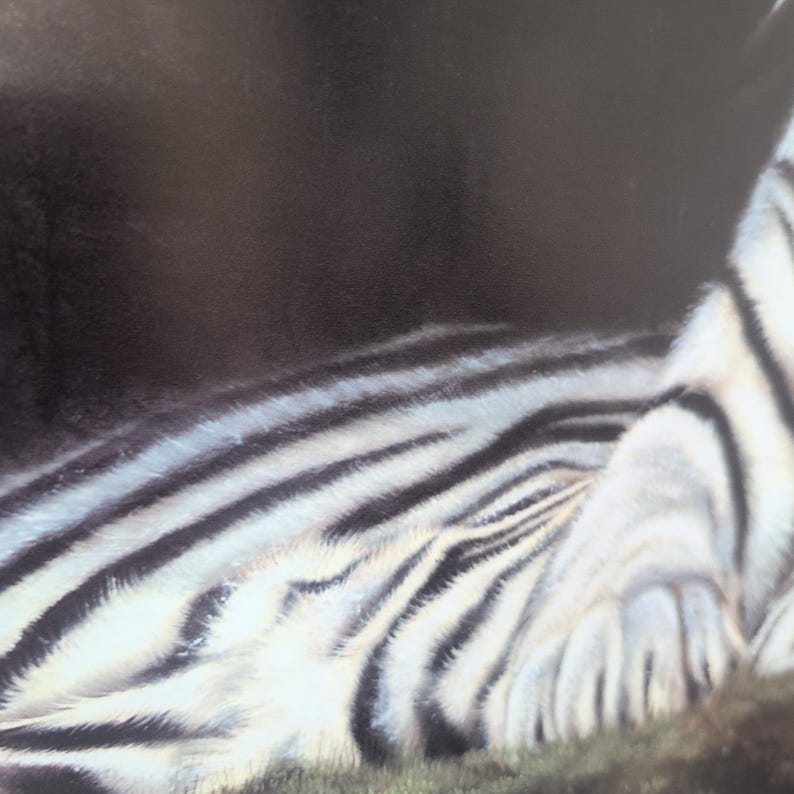 Sonia Torres Limited Edition, Numbered, Signed White Tiger Artist's Print image 3