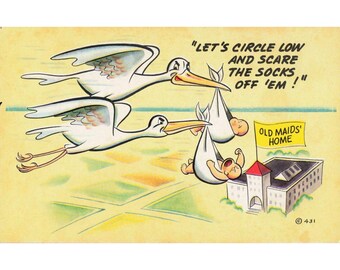 Vintage Noble Humor Cards Postcard Storks Babies Old Maids Home Comic Litho 431