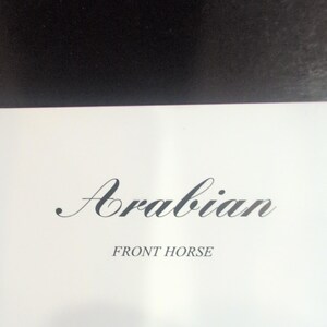 Sonia Torres Limited Edition Numbered, Signed Arabian Front Horse Artist's Print image 5
