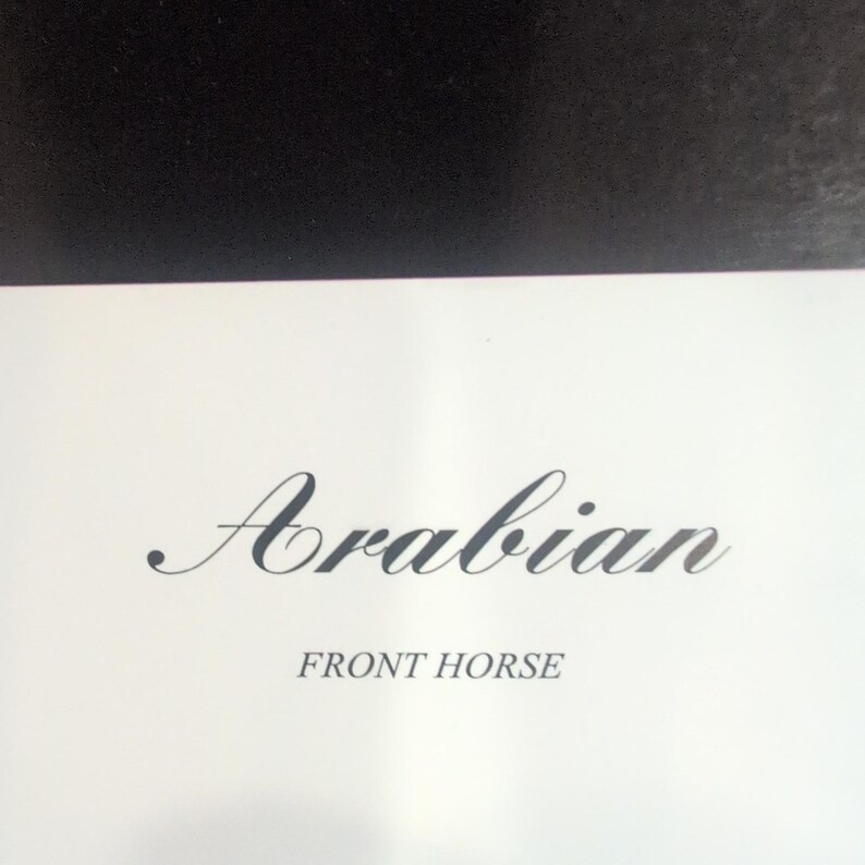 Sonia Torres Limited Edition Numbered, Signed Arabian Front Horse Artist's Print image 5