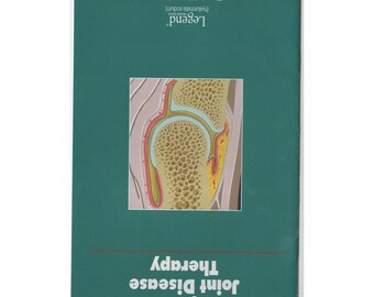 1996 Equine Joint Disease Therapy Legend Hyaluronate Sodium Bayer Pamphlet