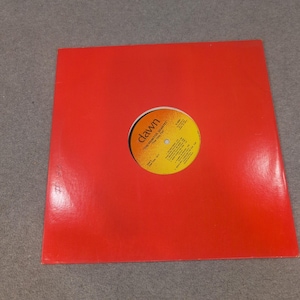 The Primitive Quartet The Only Fire Dawn Records D-3060 Gospel Vinyl LP Record image 1