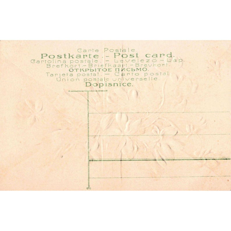 Vintage Birthday Greetings Postcard Embossed Purple Violets Green Ribbon Floral image 2