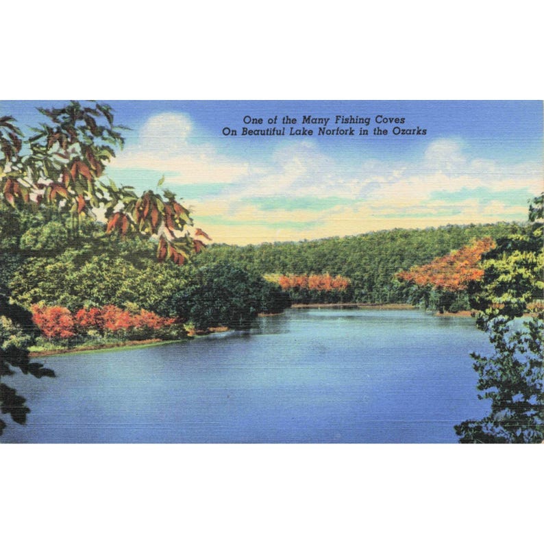 Lake Norfork Ozarks Arkansas Fishing Cove Linen Postcard VG 1940s Vintage image 1